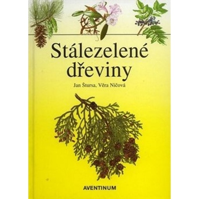 Stálezelené dřeviny