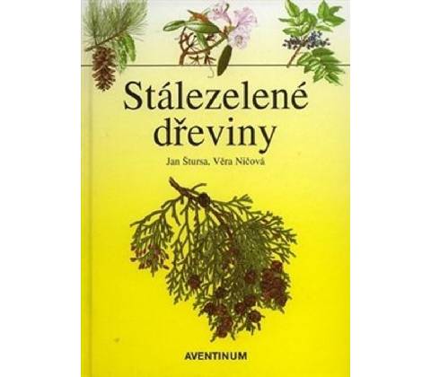 Stálezelené dřeviny