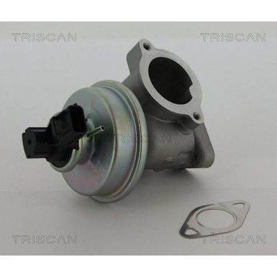 AGR-Ventil TRISCAN 8813 16012