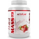 Activlab Mass Up 2000 g