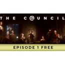 The Council