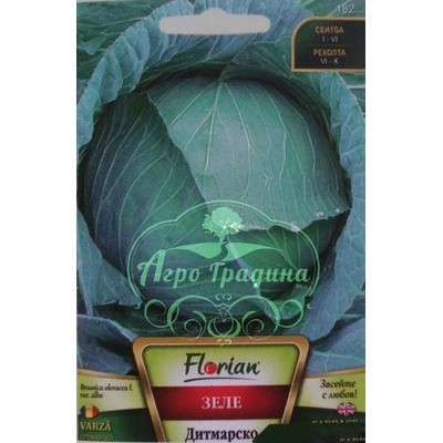 Флориан Зеле Дитмарско