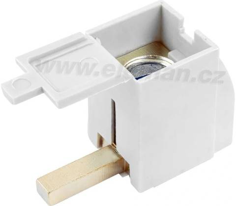Pollmann 1000388