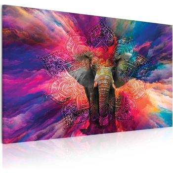 Malvis Obraz slon štěstí 90x60 cm