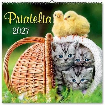 Spektrum grafik Nástenný Priatelia slovenské menné ium 2027