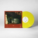CASEY - HOW TO DISAPPEAR LP