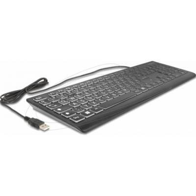 Delock 12170