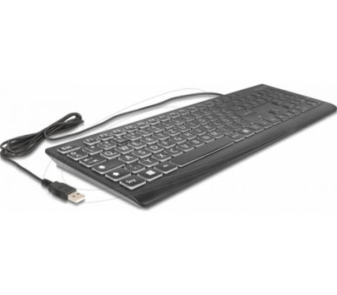 Delock 12170
