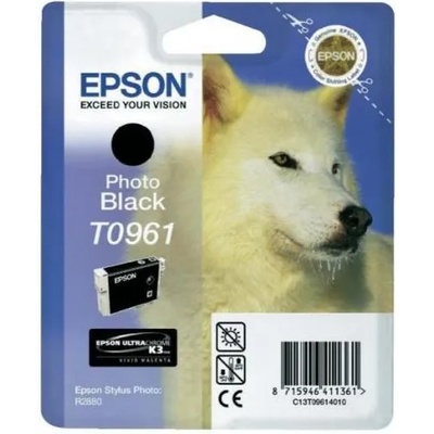 Epson T0961