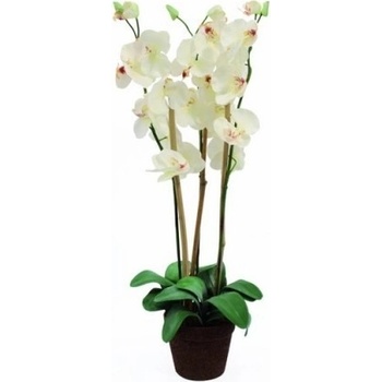 82530328 - Europalms Orchidej bílá, 80 cm - 0