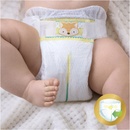 Pampers Premium Care 3 60 ks