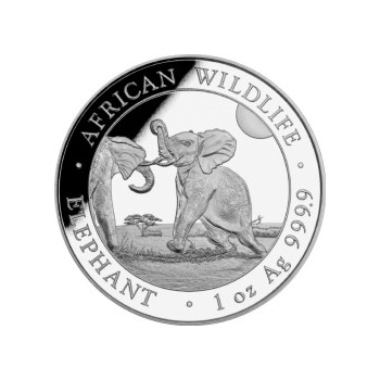 Bayerische Hauptmünzamt stříbrná mince African Wildlife Elephant 2024 1 oz