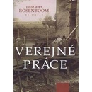 Verejné práce