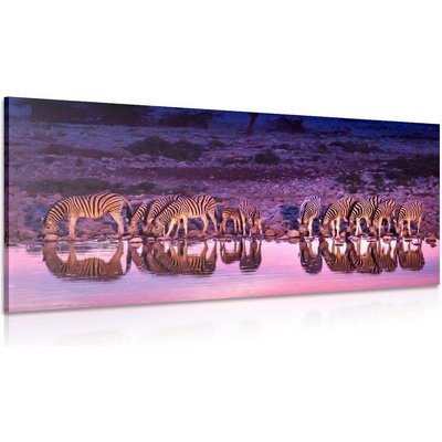 Obraz zebry v safari - 120x60