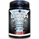 Aminokyseliny Bodyflex BCAA powder 300 g