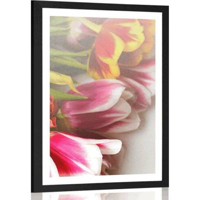 Plakát s paspartou kytice barevných tulipánů - 30x45 black