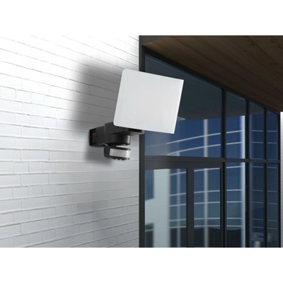 NEDES LFX021