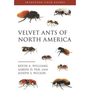 Velvet Ants of North America | Kevin A. Williams, Aaron D. Pan, Joseph S. Wilson (ISBN: 9780691212043)