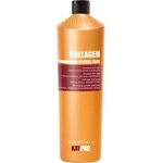 KayPro Шампоан за зряла и порьозна коса с колаген KAYPRO Collagen Shampoo 1000ml