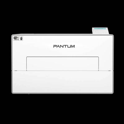 Pantum BP4200DW