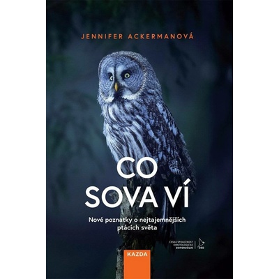 Co sova ví - Nové poznatky o nejtajemnějších ptácích světa - Jennifer Ackerman