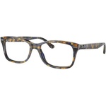 Ray-Ban RX5428 8174