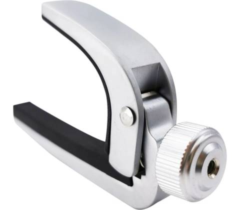 Mozos CAPO-SV