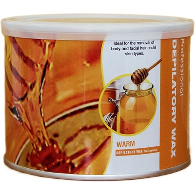 Professional DEPILATORY WAX Depilační vosk 400 g