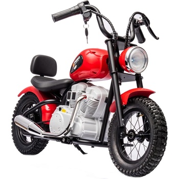 Chopper Rider (202400869)