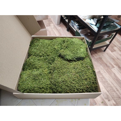 Skalný mach - Rock moss