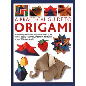 A Practical Guide to Origami | Beech, Rick (ISBN: 9780754835967)