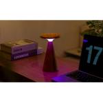 Gingko LED настолна лампа в тъмно естествен цвят с дървен абажур (височина 21 cm) Sylva - Gingko (G056L-WT)