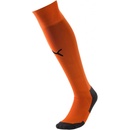 Puma Team LIGA socks CORE