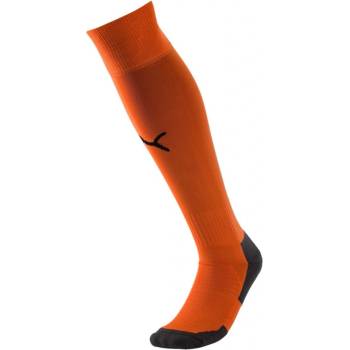 Puma Team LIGA socks CORE