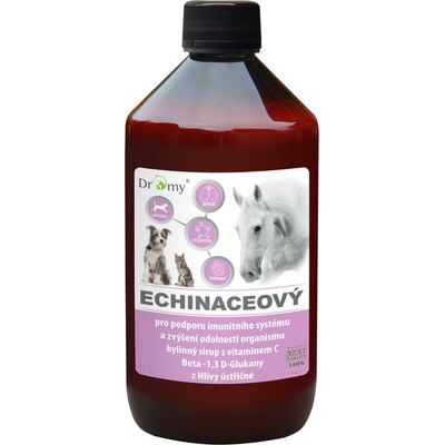 Dromy Echinaceový sirup 1 l – Zbozi.Blesk.cz