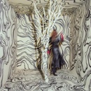 Revealer - Madison Cunningham CD