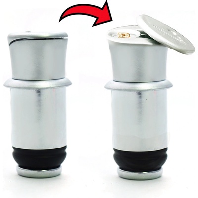 Champ AAsilver Elegantný s USB portom strieborný 5323