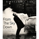 U 2: FROM THE SKY DOWN DVD