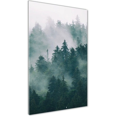 Vertikálny foto obraz sklenený Hmla nad lesom 50x100 cm