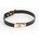NS Novelties Fetish & Fashion Sadie Collar Black