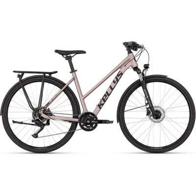 Kellys Cristy 50 2026