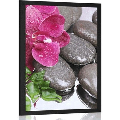 Plakát kvetoucí orchidej a wellness kameny - 30x45 no frame