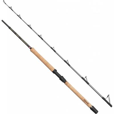 Penn Regiment IV Pro Boat 2,10 m 30-50 lb 2 Díly – Hledejceny.cz