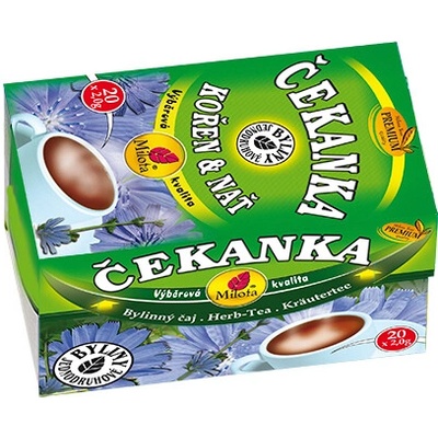 Milota Čekanka kořen s natí 20 x 2 g
