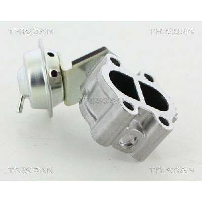 AGR-Ventil TRISCAN 8813 13060 (881313060)