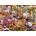Schmidt Spiele - Puzzle Sundram: Chef Mania - 1 000 piese