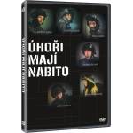MagicBox Loaded Eels - DVD (028163)