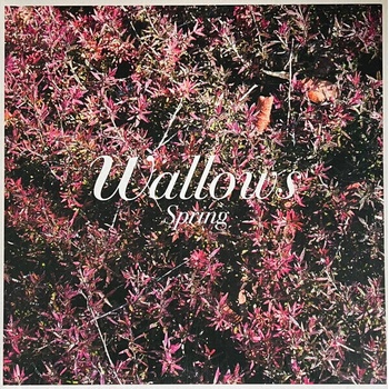 Wallows - Spring (Green & Pink Coloured) (12" Vinyl) (0075678657641)