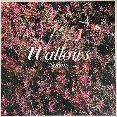 Wallows - Spring (Green & Pink Coloured) (12" Vinyl) (0075678657641)