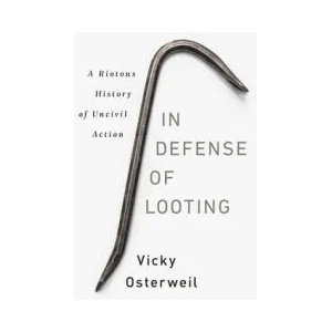 In Defense of Looting | Vicky Osterweil (ISBN: 9781645036692)